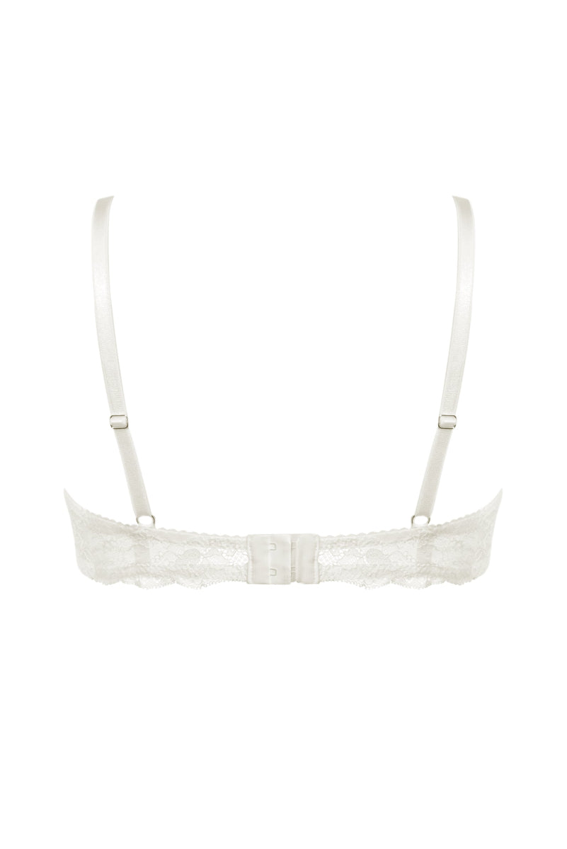 lace bra, back view